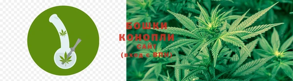 дмт Вяземский