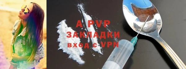 индика Волоколамск