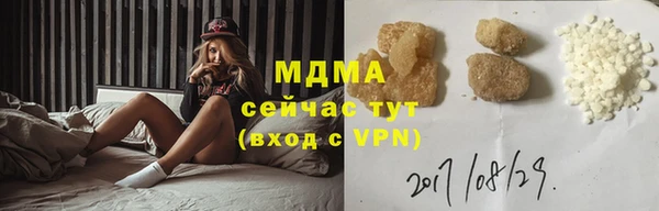 индика Волоколамск