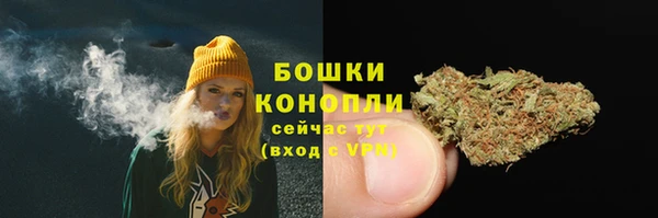 индика Волоколамск