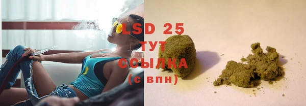 индика Волоколамск