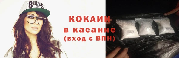 индика Волоколамск