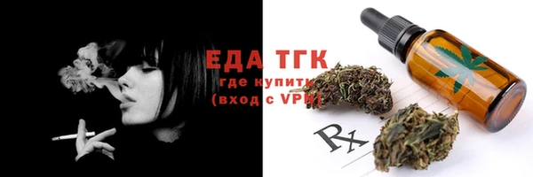индика Волоколамск