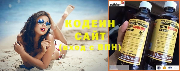 индика Волоколамск